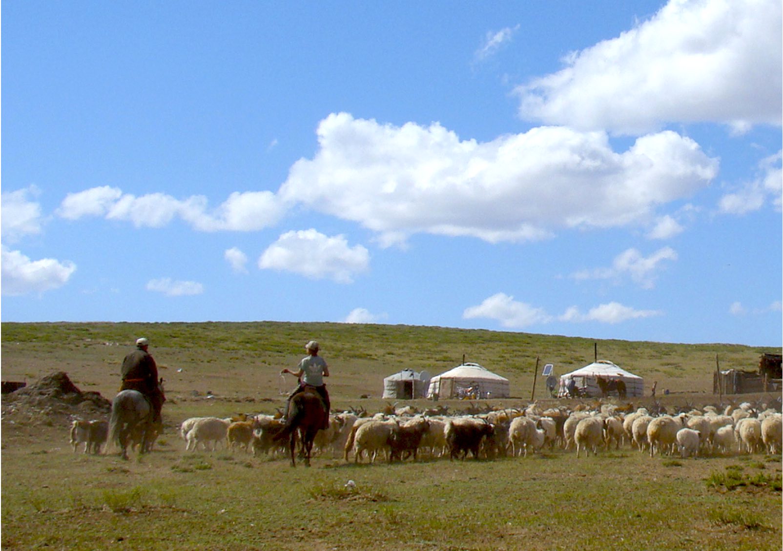 mongolische Nomaden mit Ger und Herde