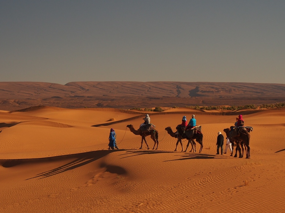 Unsere Gäste genießen die Schönheit der Sahara