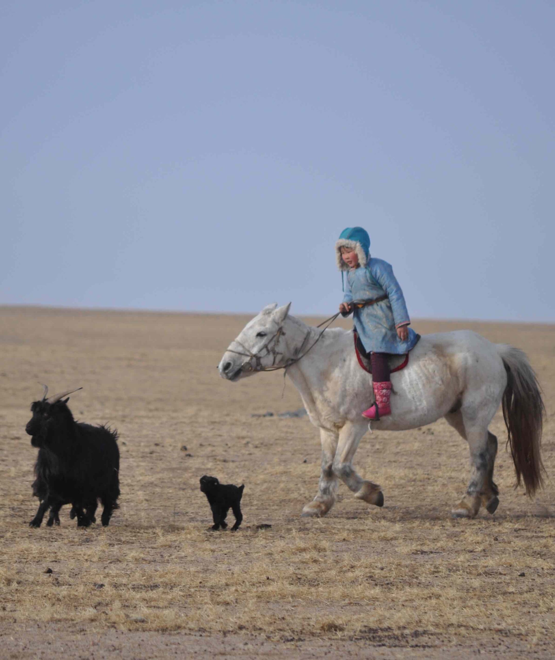 mongolisches Kind reitet in der Gobi