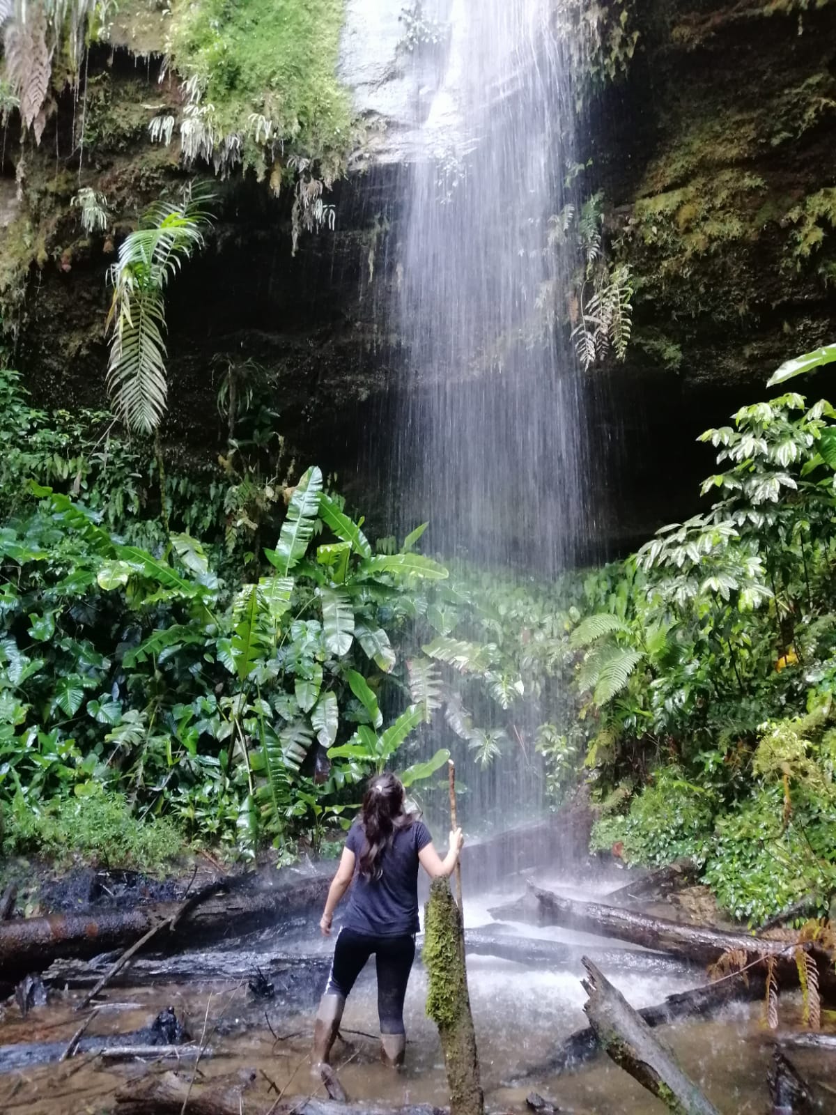 Regenwald Amazonas Ecuador_Kia Ora Reisen