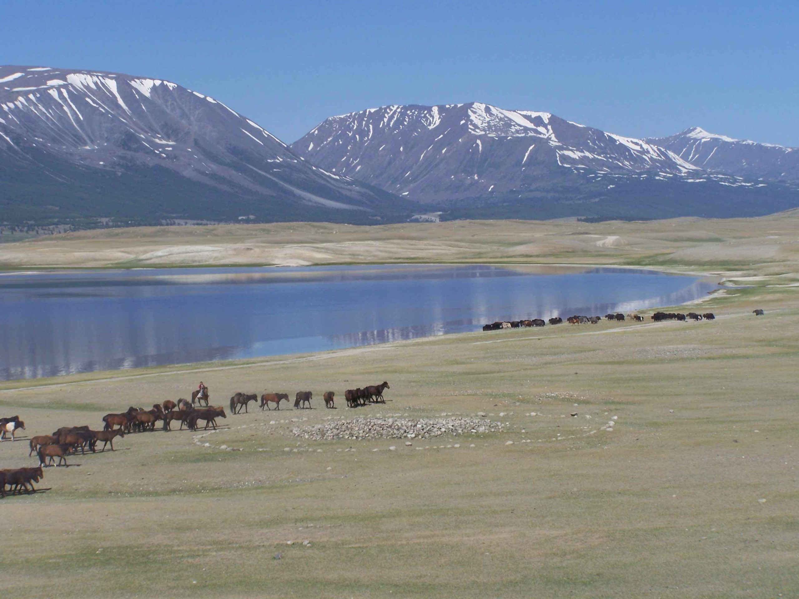 Reise in die Mongolei und Schamanen im Altai