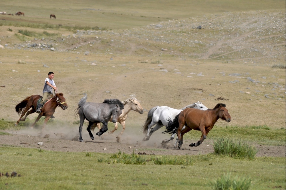 Reiter in der Mongolei