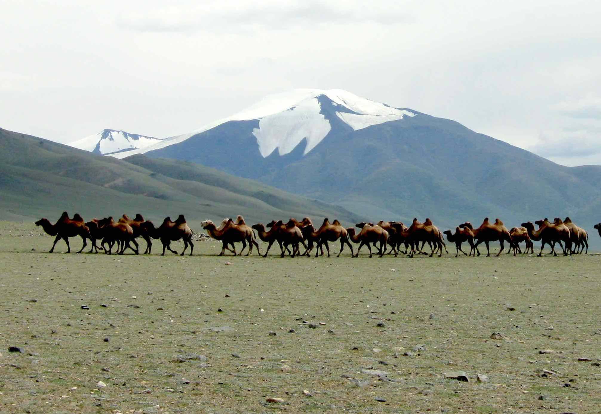 Reisen in die Mongolei Schamanen im Altai und Nomaden begegnen