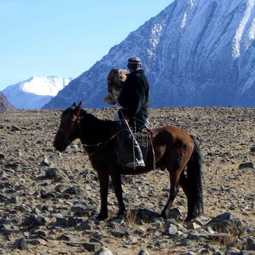 Unterwegs im Altai mit kasachischem Adlerjäger