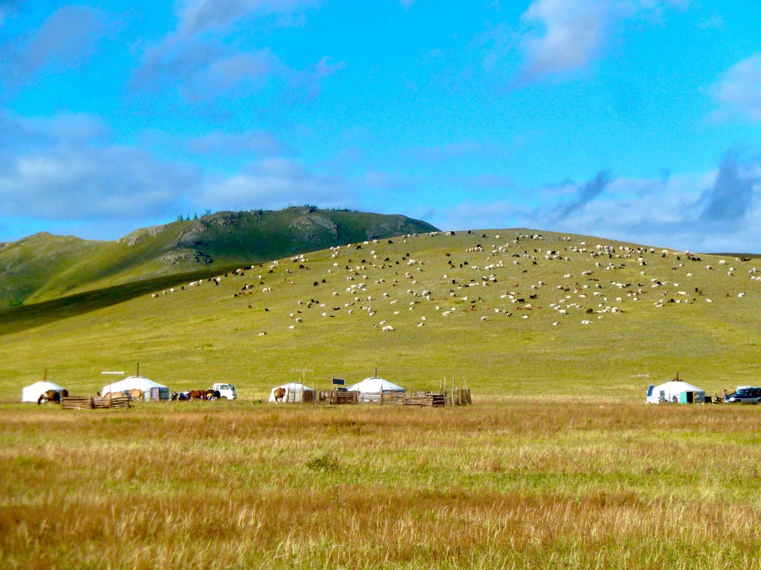 Naturschutz und nomadische Viehrwirtschaft