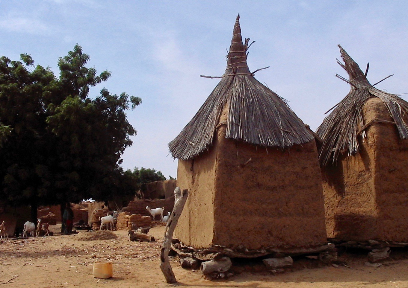 Dorf in Mali 2009 Gudrun Wippel Kia Ora Reisen