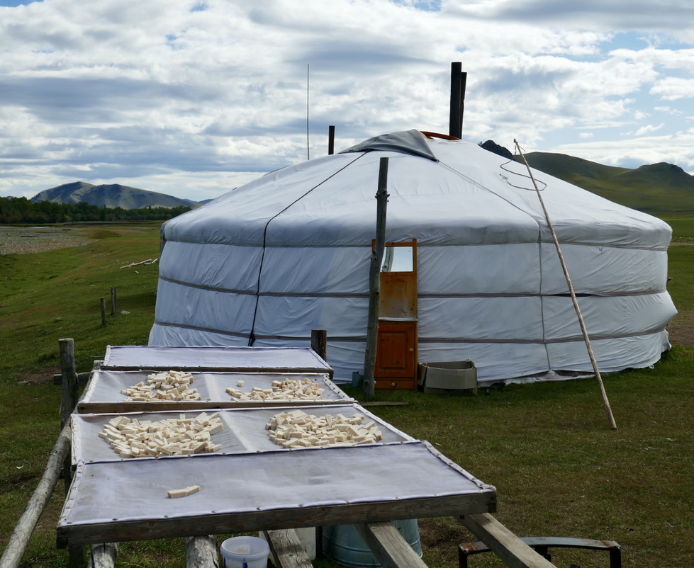 Mongolische Jurte und Käse Mongolei Reise Archangai Gudrun Wippel
