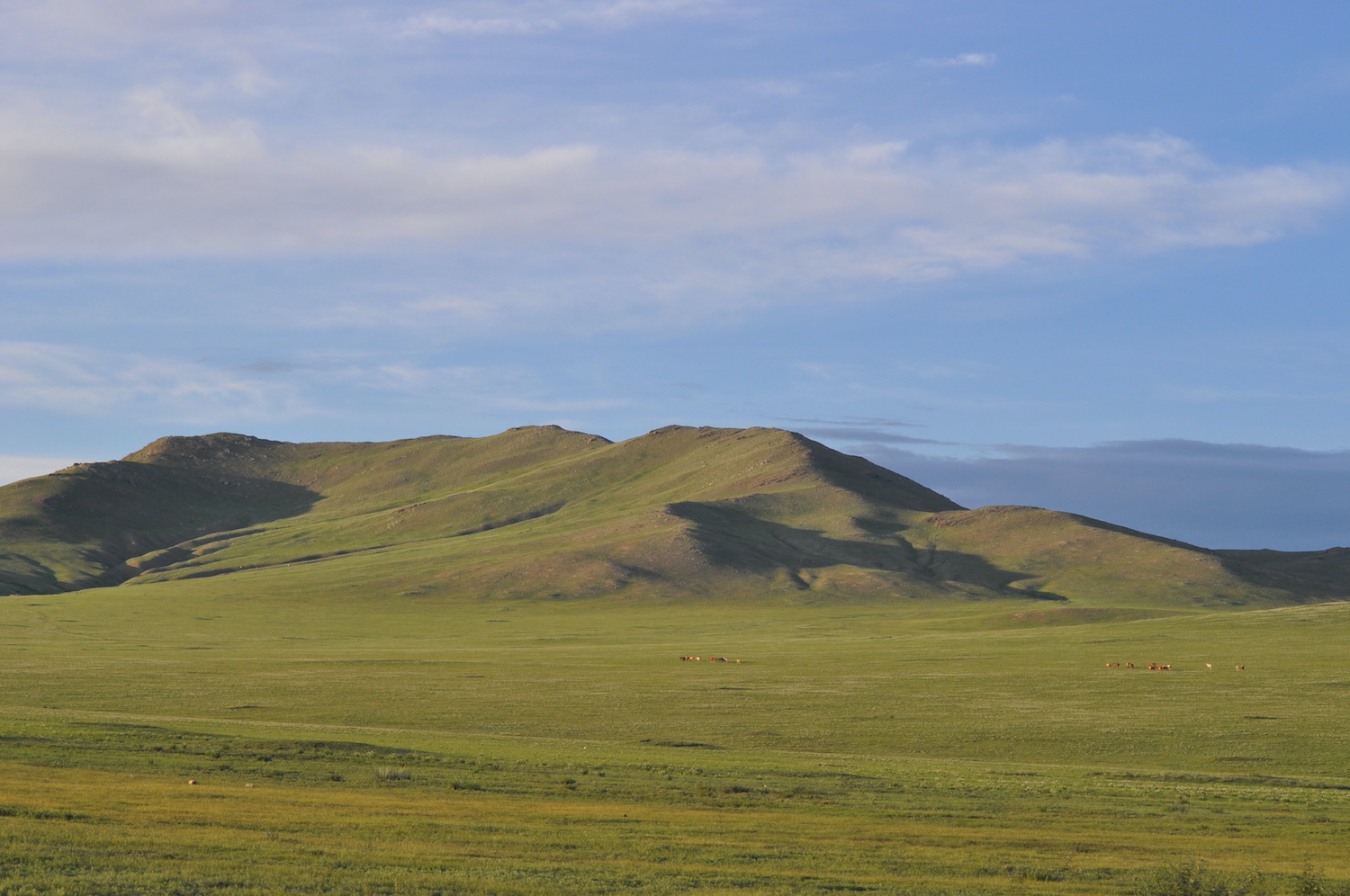 Mongolei Reisen Steppe Weite