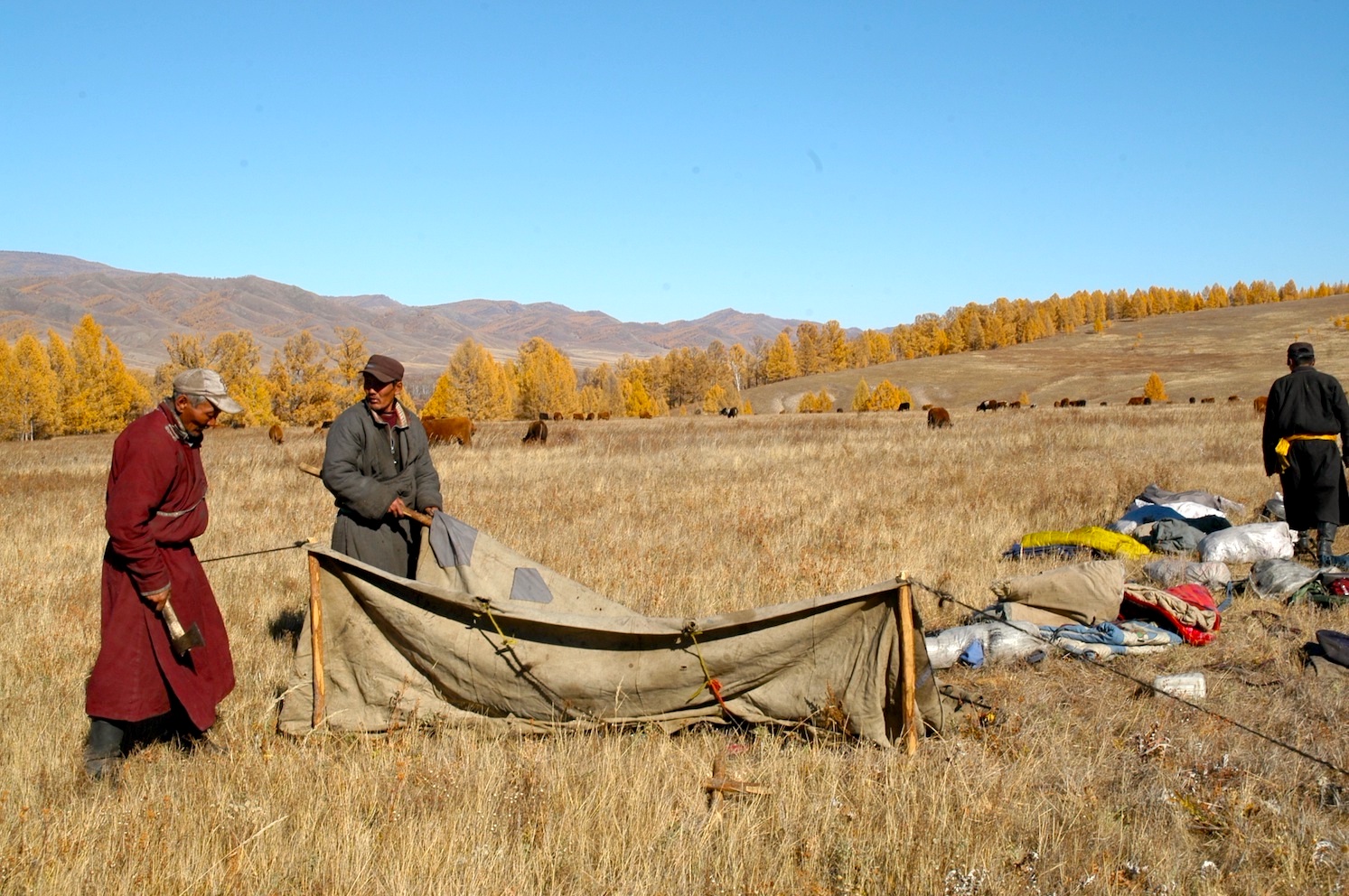 Umzug einer Nomadenfamilie - Übernachtung in der Mongolischen Natur