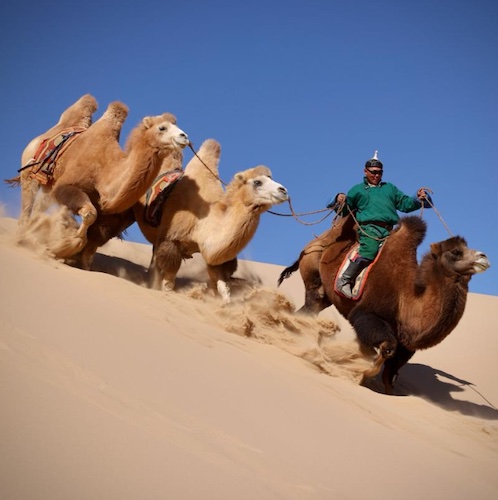 Mongolei Reise 2022_Wüste Gobi-Achim Liepold