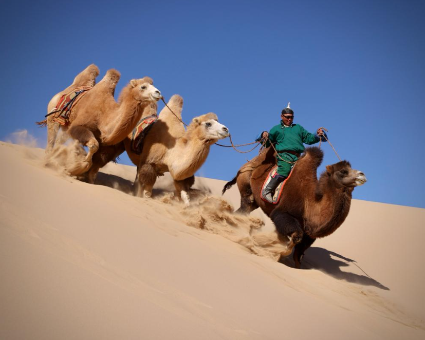 Khongoriin Els - singender Sand Wüste Gobi Mongolei