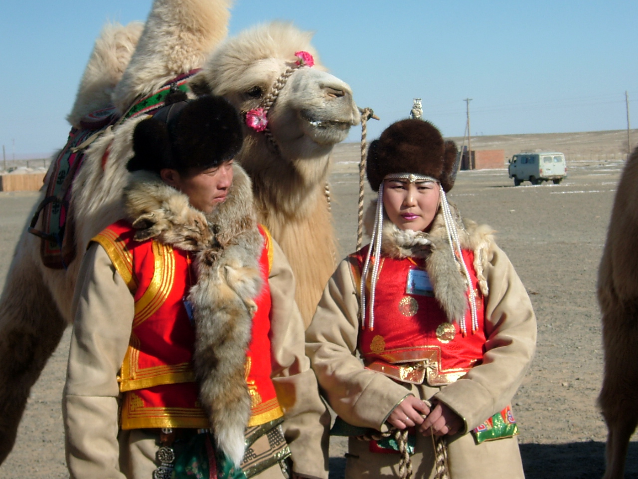 Kamelfestival Mongolei - Gewinner im Wettbewerb