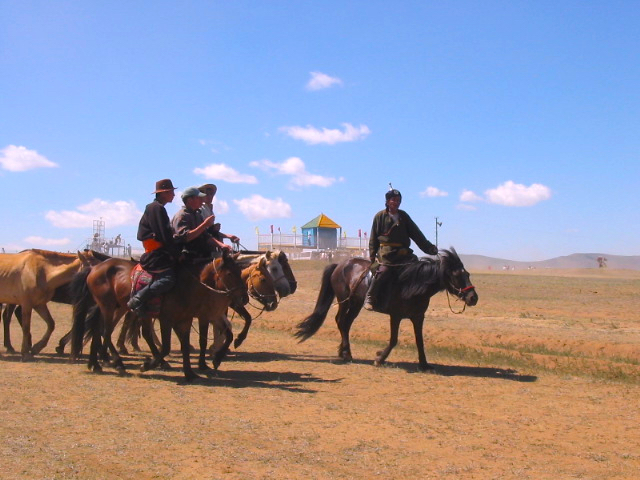 Naadam Fest beim Pferderennen Mongolei