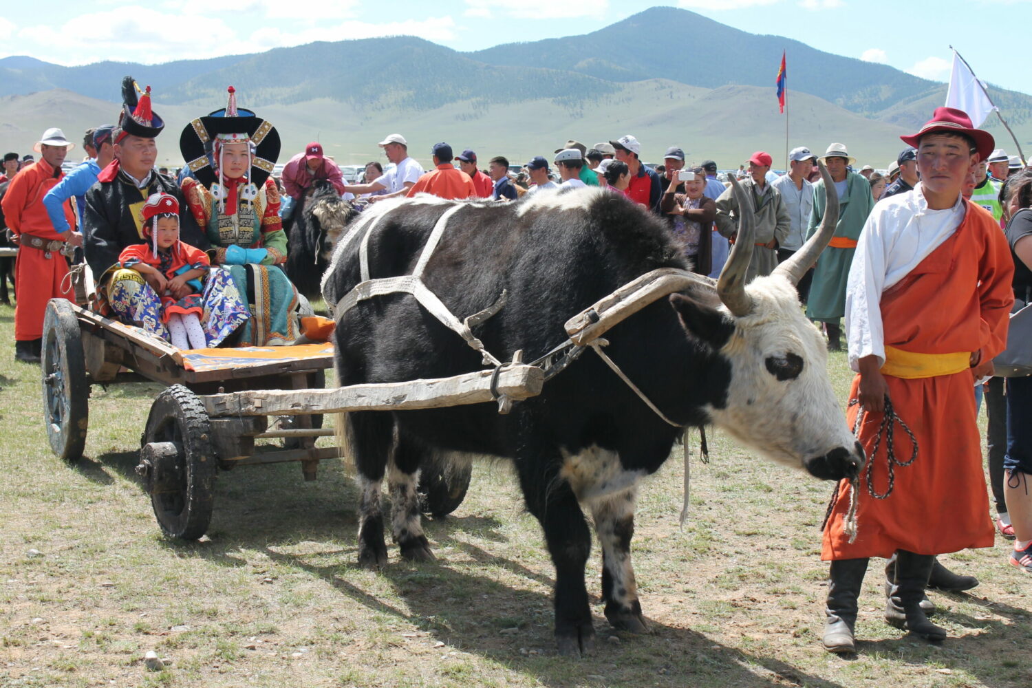Festivals der Mongolei - Yakfest