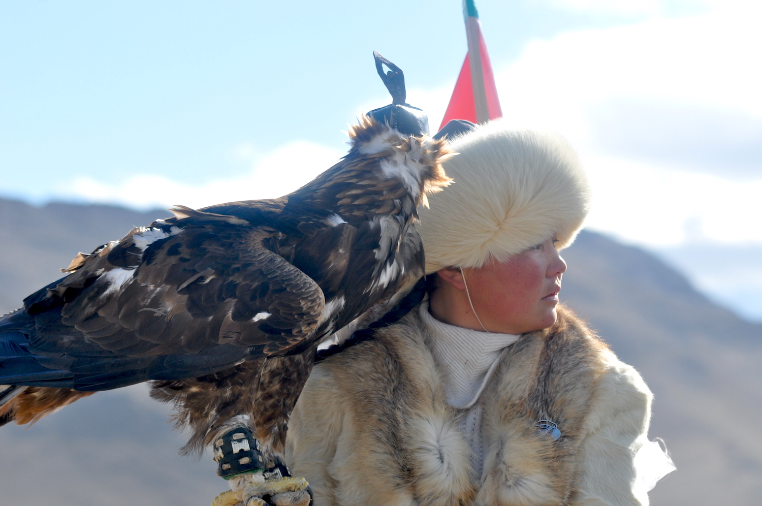Adlerfestival Mongolei - die erste weibliche Adlertrainerin gewinnt 