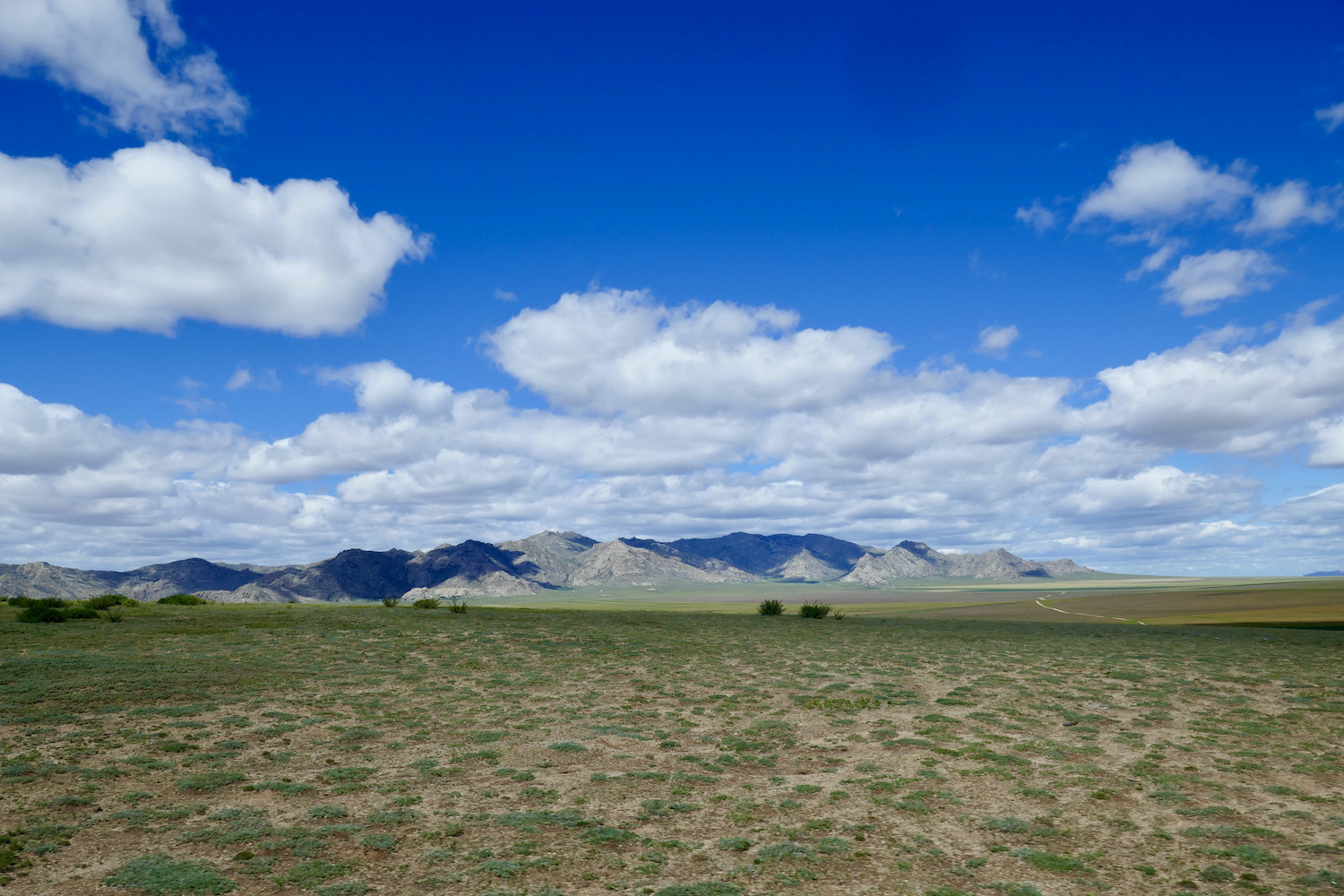 Reiseveranstalterin Mongolei_Freie Landschaft Mongolei