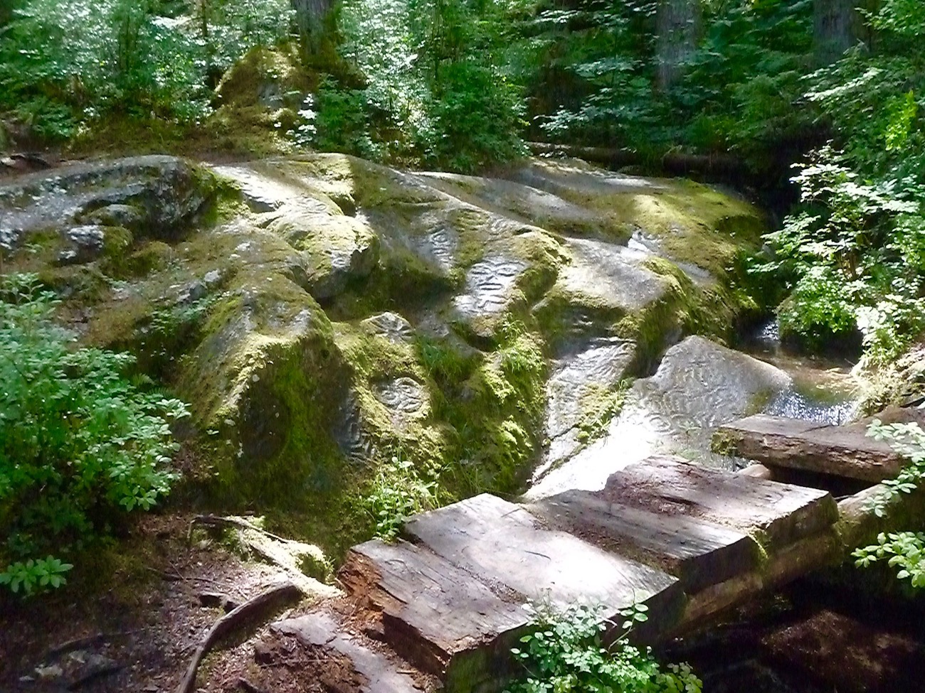 Heilerausbildung Felsmalereien Bella Coola