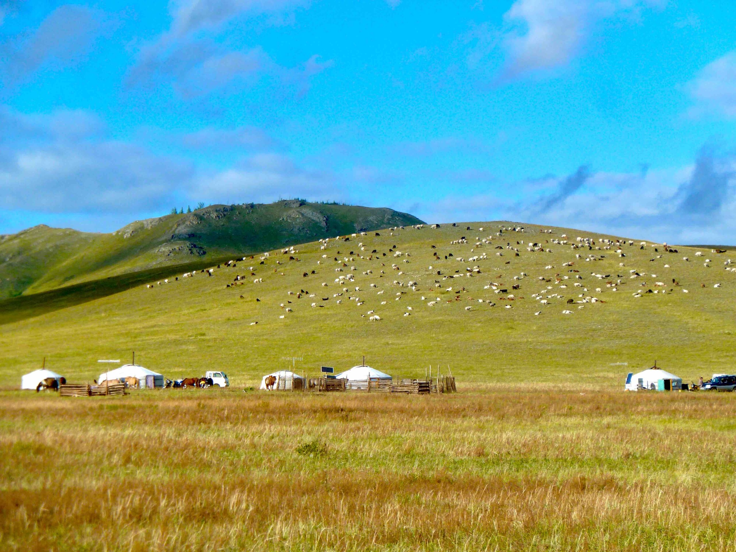 Nomadische Lebensweise Mongolei