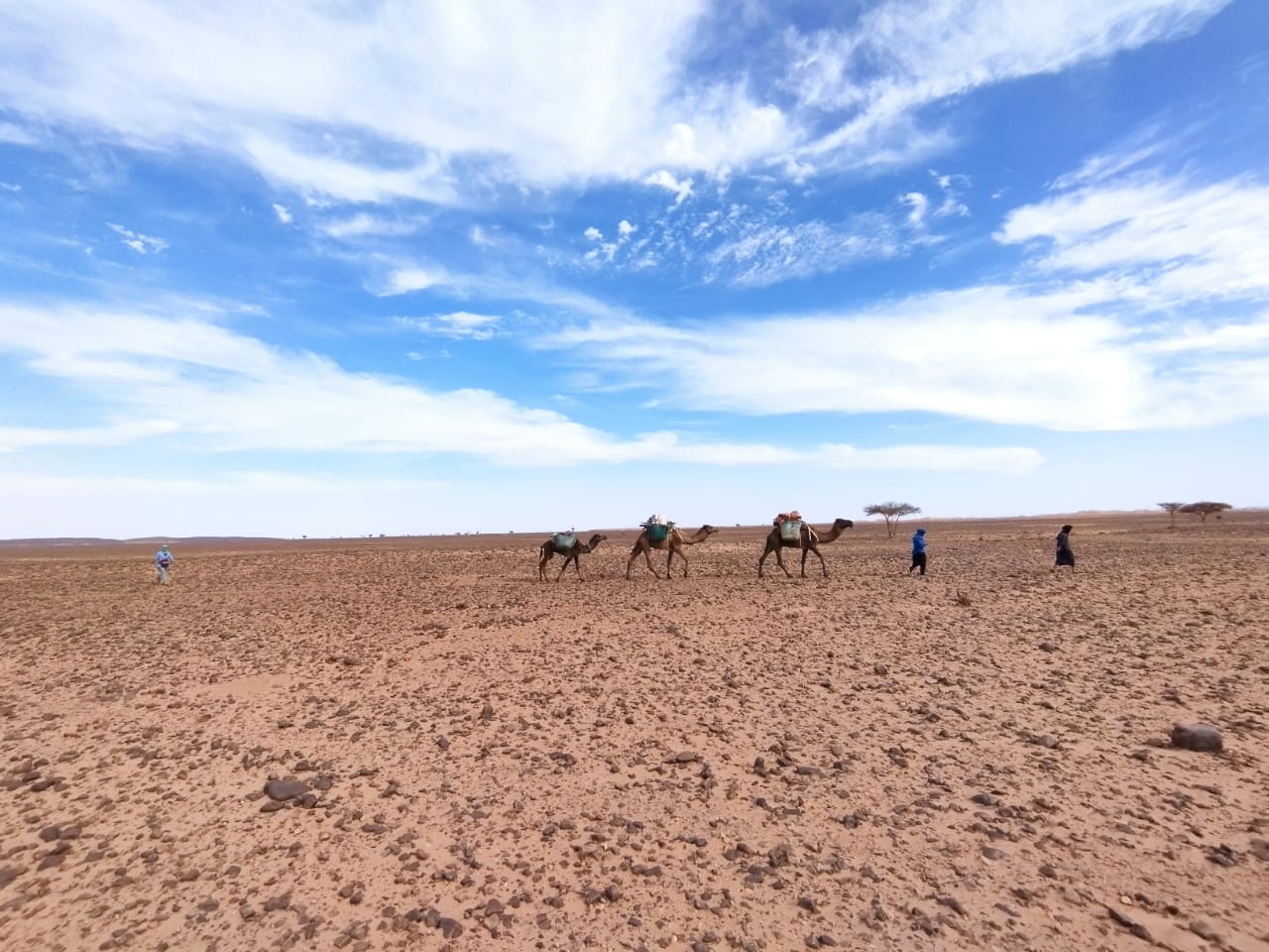 Kameltrekking Nomaden der Sahara 2023