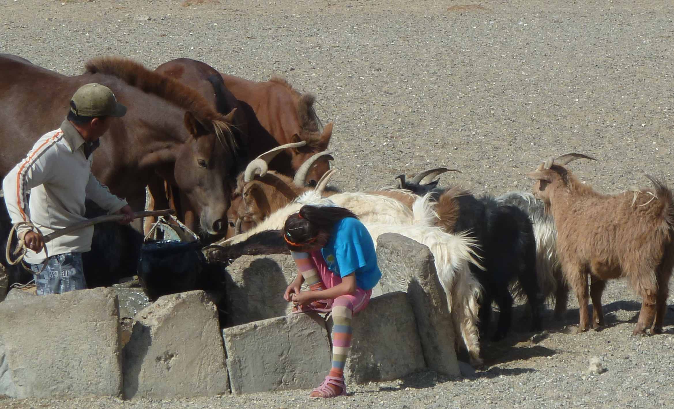 Am Brunnen in der Wüste Gobi Mongolei