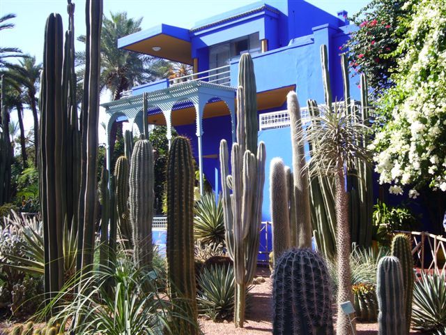 Marrakesch. Jardin Majorelle: Rosemarie Schneider-Holler