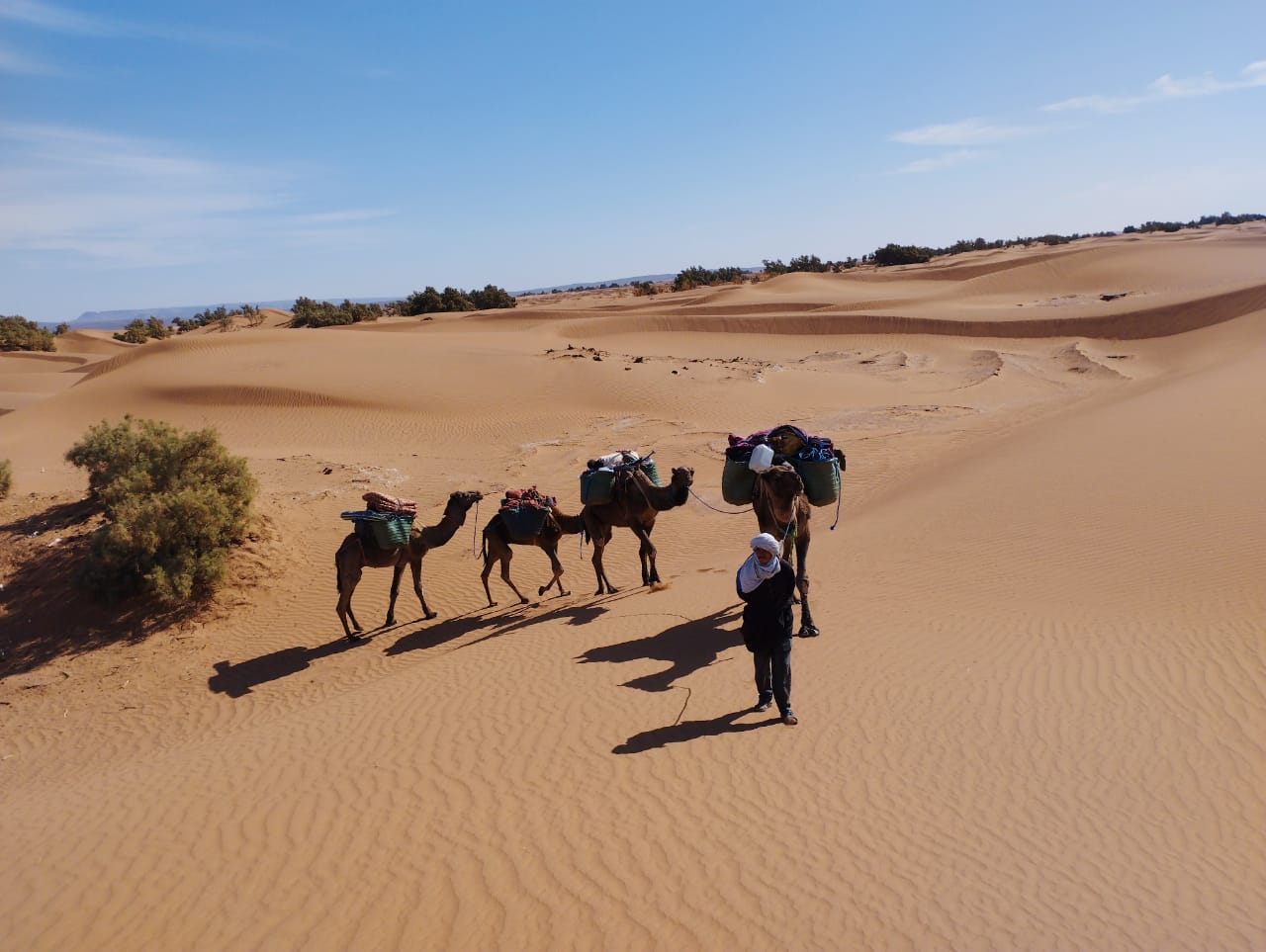 mit Kamelen in der Sahara Marokko