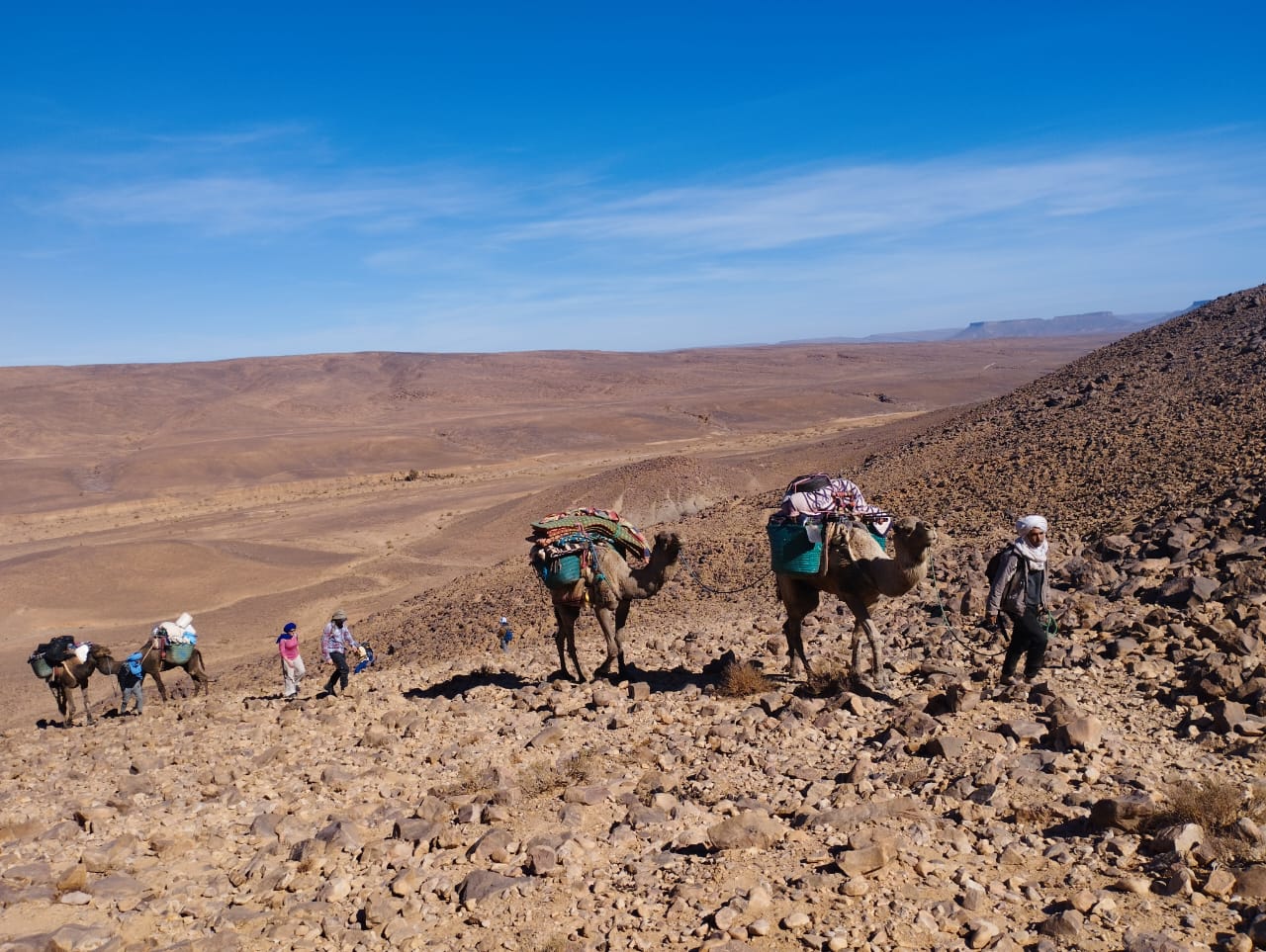 Hafid Benyachou: Kameltrekking Sahara Marokko Jebel Bani
