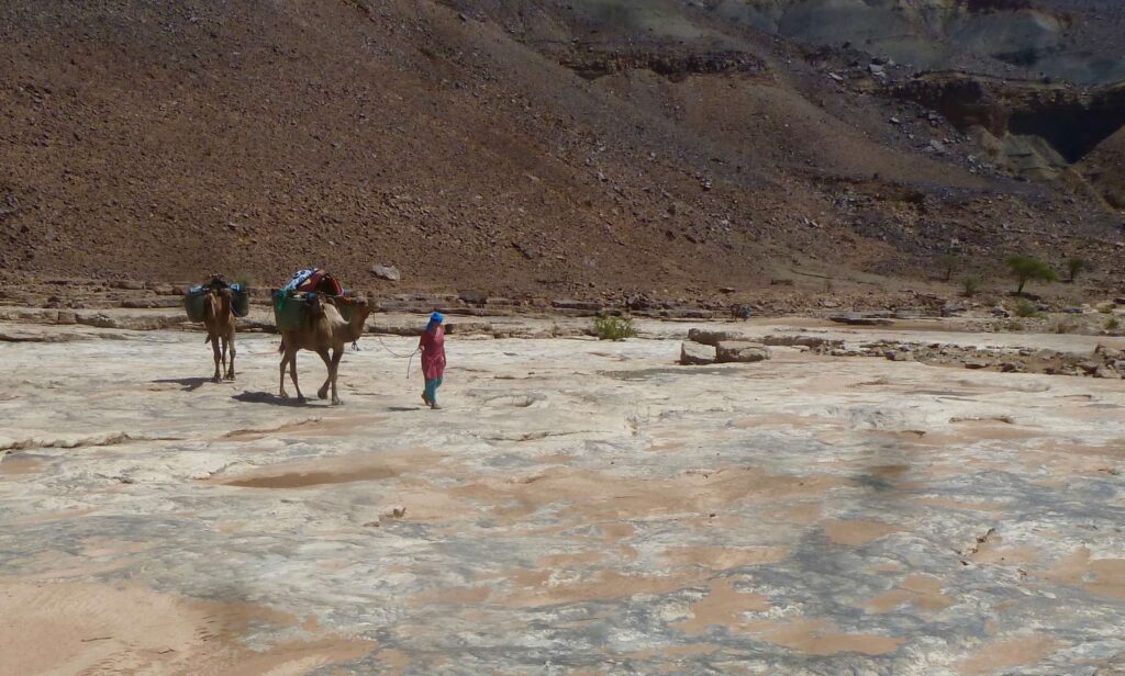 Wanderung mit Kamelen in einem felsigen Flussbett Marokko. Günter Wippel