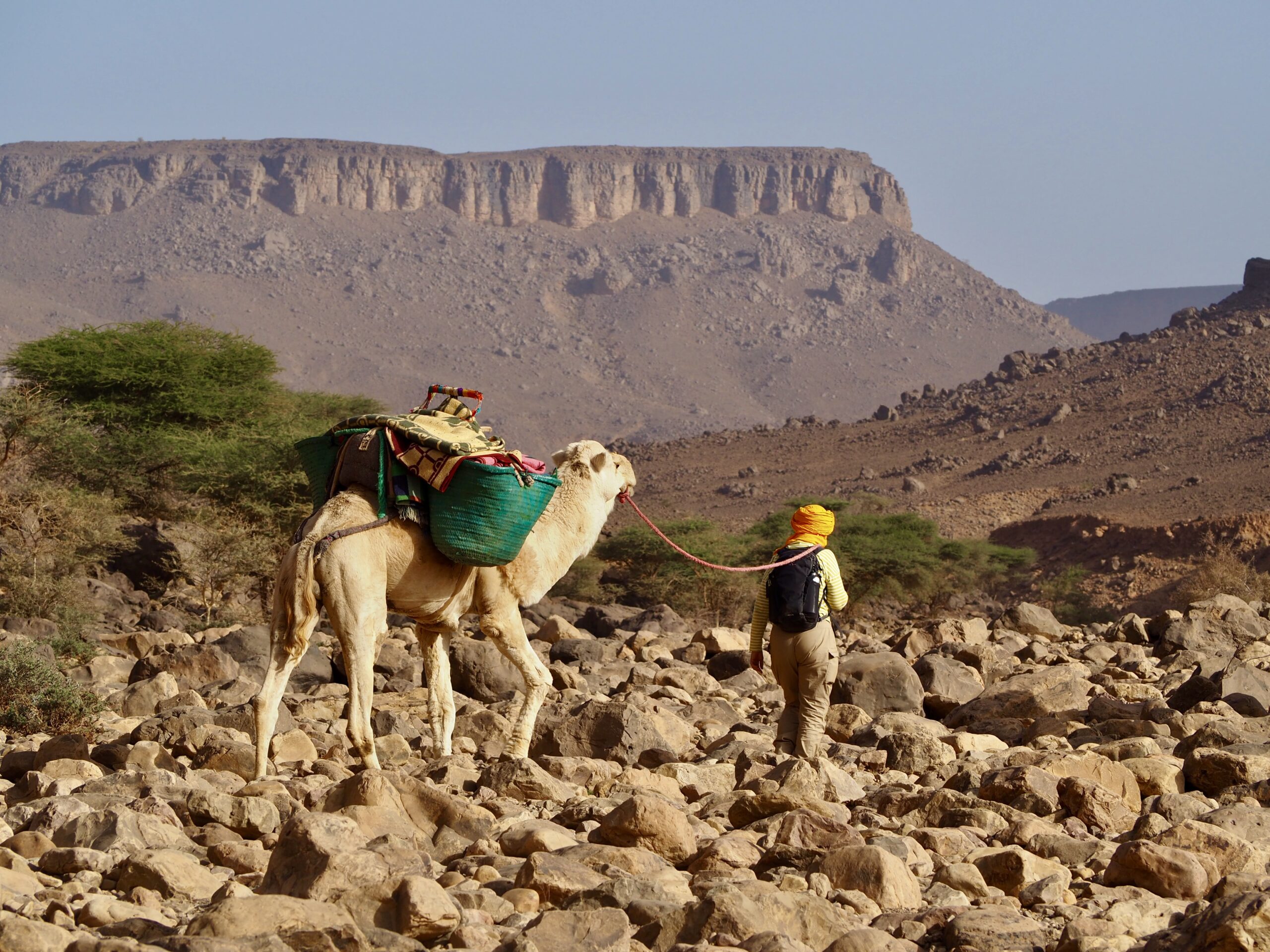 In den Jebel Bani Bergen der Marokkanischen Sahara. Lydia Röder 2024